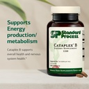 standard-process-cataplex-b---whole-food-3.jpg