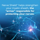 redd-remedies-nerve-shield-supports-heal-5.jpg