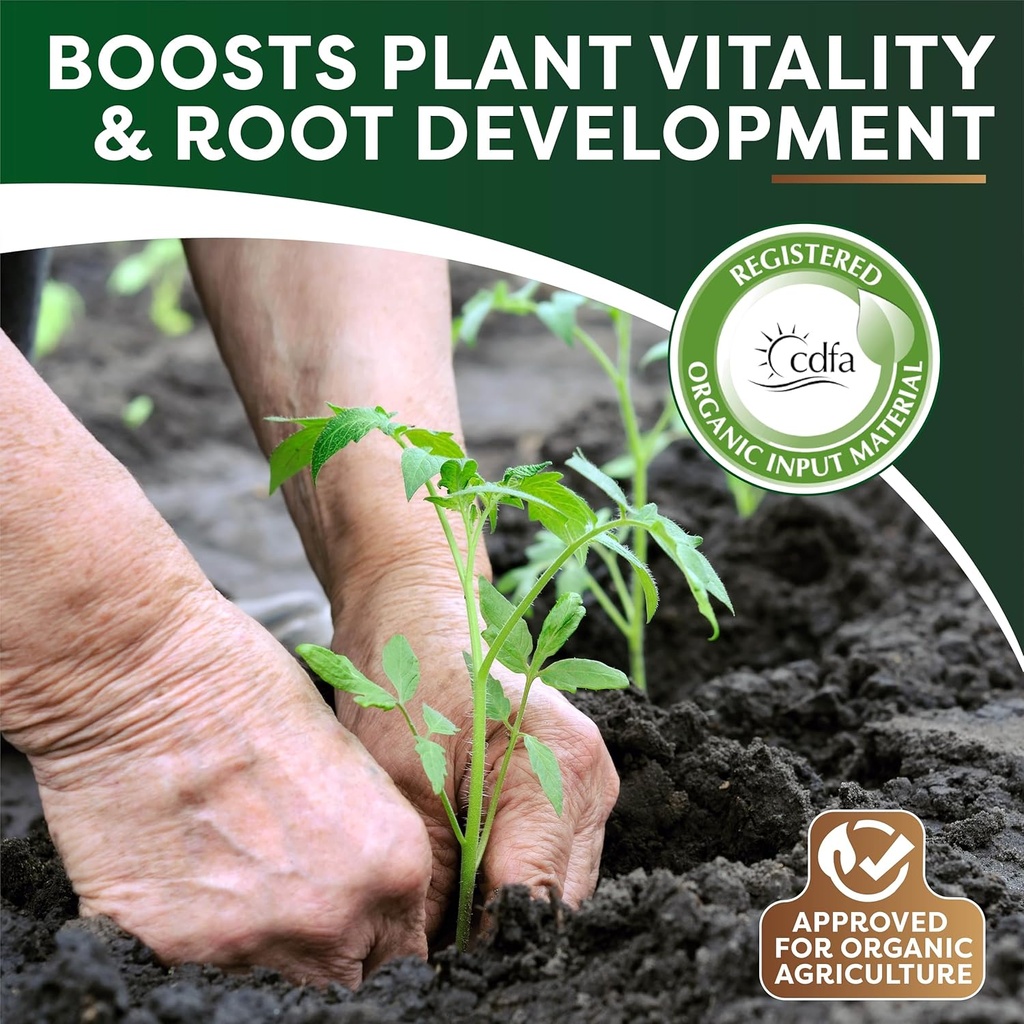 Volcanic Silica Minerals Micronized- 10 lbs 4