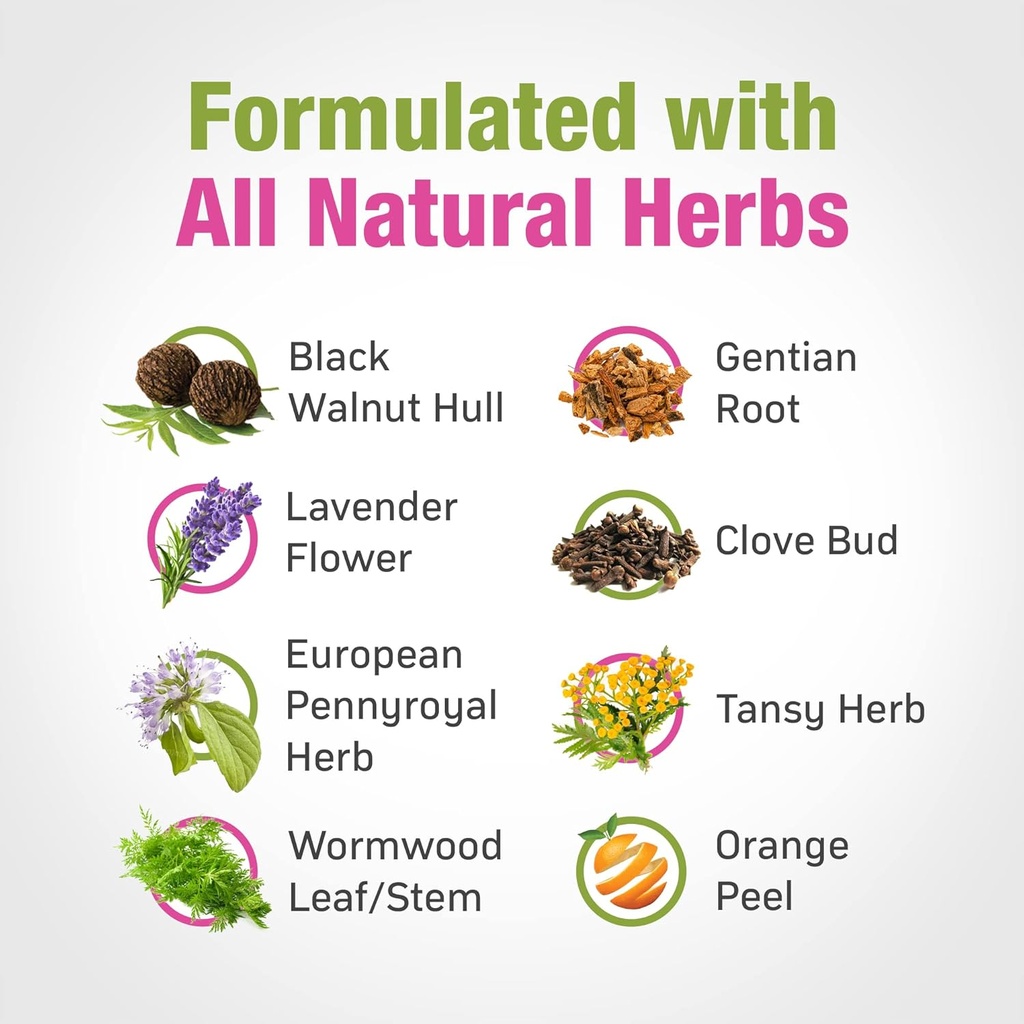 Cedar Bear - Intestinal Cleanse for Kids, Liquid Herbal Supplement for Detox and Digestive Cleanse with Natural Herbs, Alcohol-Free Gut Cleanse Drops for Children, 1 fl oz / 30 ml 6