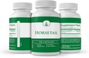 Pure Original Ingredients Horsetail, (100 Capsules) Always Pure, No Additives or Fillers, Lab Verified 5