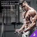 MuscleTech Mass Gainer Protein Powder, Mass-Tech Extreme 2000, Muscle Builder Whey Protein Powder, Protein + Creatine + Carbs, Max-Protein Weight Gainer for Women & Men, Triple Chocolate, 20 lbs 5