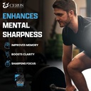 Cerus Performance Focus Nootropic Supplement - Enhances Mental Clarity, Boosts Memory & Cognitive Function, Improves Alertness - Ideal for Athletes & Fitness Enthusiasts - 60 Capsules 3
