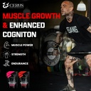 Cerus Performance - Performance Hydration Electrolyte Powder – Watermelon Flavor, 5g Creatine Monohydrate, 500mg Coconut Water Powder – Supports Endurance, Muscle Recovery & Keto 30 Servings 3