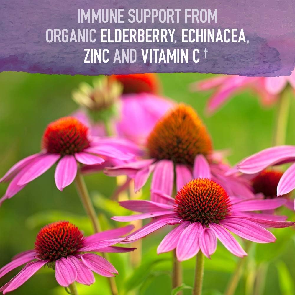 Garden of Life Organics Plant-Based Elderberry Immune Syrup 6.59 fl oz & Traditional Medicinals Throat Coat Organic Pectin Throat Drops, Lemon Ginger Echinacea, Soothes Sore Throats, 16ct. 5