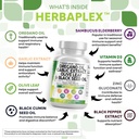 Clean Nutraceuticals Oregano Oil Garlic Extract Olive Leaf Black Seed Oil - Immune Support & Digestive Health Supplement for Women and Men with Vitamin D3 & Zinc - 3Pack 4