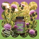 Complete Natural Products Pure Organic Milk Thistle Capsules - 500 mg Silymarin Powder 100 Pills 5