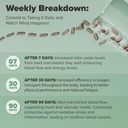 nooro Vital Flow Advanced Blood Circulation Supplement with Nitric Oxide Boost, Vitamin D3, Magnesium, Probiotic Blend, Veins Support Non-GMO and Gluten Free 60 Capsules 5