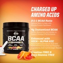 pmd-sports-bcaa-charged-delicious-amino--5.jpg