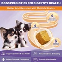 NATURE TARGET Probiotics for Dogs, 6 Billion CFUs, Freeze Dried Dog Probiotics with Prebiotics & Enzymes for Diarrhea, Gas, Vitamins & Omega 3 for Skin & Immune Health, Allergy Itch Relief, 180 Count 3