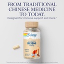 SOLARAY Reishi Mushroom 600mg - Reishi Mushroom Capsules for Immune Support - Vegan, Lab Verified - 60-Day Money-Back Guarantee - 100 Servings, 100 VegCaps 4