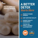 Dr. Tobias Oregano and Caprylic Acid Blend, Gut Flora Balance Complex with Probiotics & Enzymes for Intestinal and Immune Support, Gut Health Supplements for Women & Men, 120 Capsules, 60 Servings 6