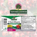 Nature's Answer Organic Hawthorn Extract 2 Oz - Low Alcohol, Gluten Free & Kosher - Heart Support - Ideal for Hawthorn Berry Tea 3