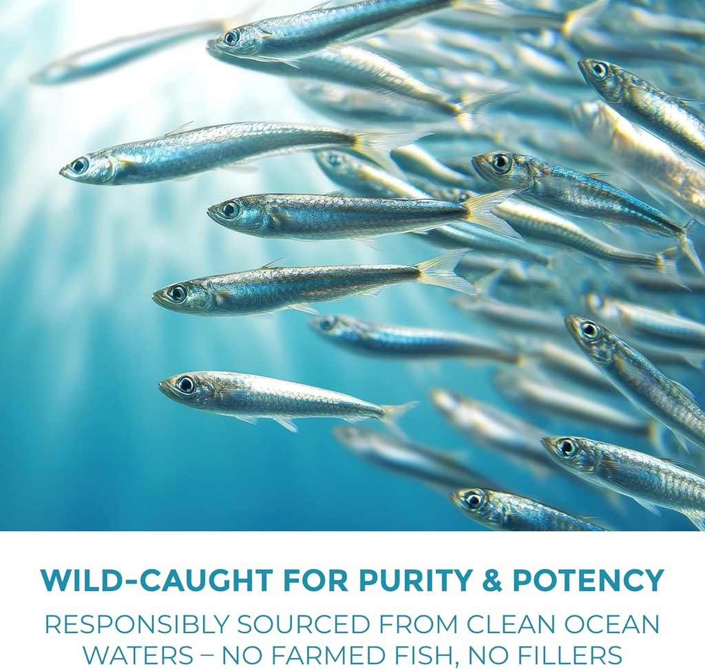 Omega 3 Fish Oil Capsules [3000mg] Omega 3 Supplement DHA Supplement | Omega3 Fish Oil Pills | for Heart Health, Immune System, Joints, Skin, & Brain Health, Gluten-Free and BURPLESS 3