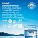 Liquid Mineral Drops - Trace Mineral Supplement | Full Spectrum Minerals | Ionic Liquid Magnesium, Chloride, Potassium | Low Sodium | Energy, Electrolytes | 288 Day Supply, 8 fl oz (Pack of 3) 6