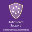 21st Century Resveratrol Red Wine Extract Capsules, 90Count (Pack of 2) 3