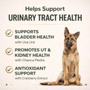 VetriScience Quick Action UT Health Chewable Tablets, UT Strength STAT Supplement for Dogs, Cranberry, Uva Ursi, and Chanca Piedra to Soothe Urinary Tract Discomfort, Smoke, 90 Count 5