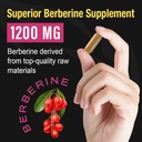 Berberine Supplement 1200mg - High Bioavailability Berberine HCL Microbeadlets,GLP-1 & AMPK Activator for Women Men 90 Vegan Capsules 5