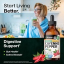 BIO KRAUTER Cayenne Pepper Extract Liquid - Pure Capsaicin Extract - Liquid Cayenne Pepper Drops for Digestive Support - Sugar & Alcohol Free 4 Fl.Oz. 4