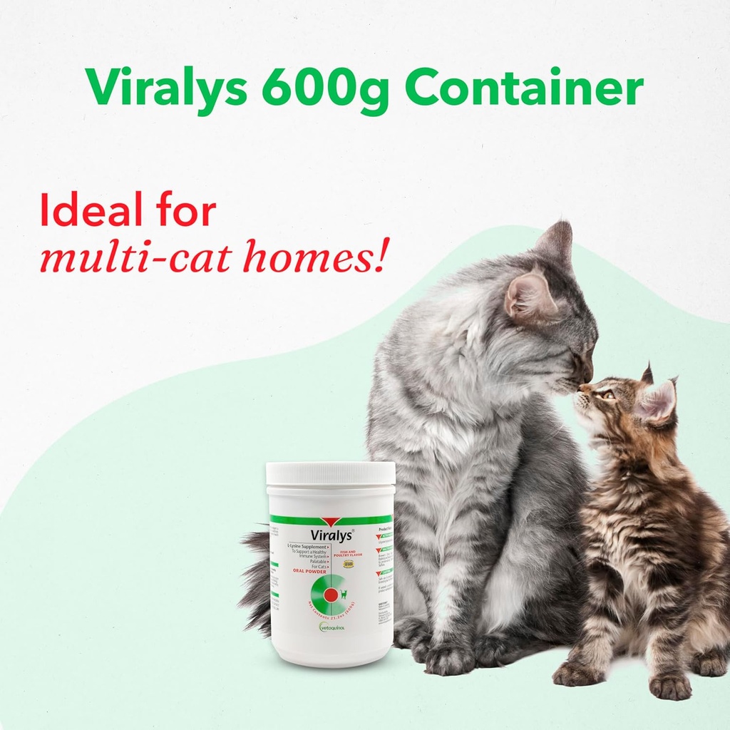 Vetoquinol Viralys Daily L-Lysine Powder for Cats and Kittens, Fish Flavored Lysine Supplement for Cats and Kittens to Support Immune Health, Normal Eye Function and Respiratory Health, 600gm 6