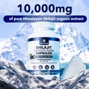 Pure Himalayan Shilajit for Men & Women - 10,000mg Shilajit Ashwagandha Supplements + Irish Sea Moss, Tongkat Ali, PQQ & More - 60 Capsules 6