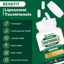 1200MG Vitamin E Tocotrienols Liposomal Tocotrienols Supplement with Phosphatidylcholine, 95% Delta-tocotrienols and 5% Gamma-tocotrienols, High Absorption for Heart, Brain Function 60 Capsules 5