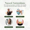 Organic Black Seed Oil - USDA Certified Cold Pressed Glass Bottle Over 1.5% Thymoquinone 3X strength Turkish Black Cumin Nigella Sativa non-GMO 100% Pure Blackseed Oil (1oz Glass Dropper Bottle) 4