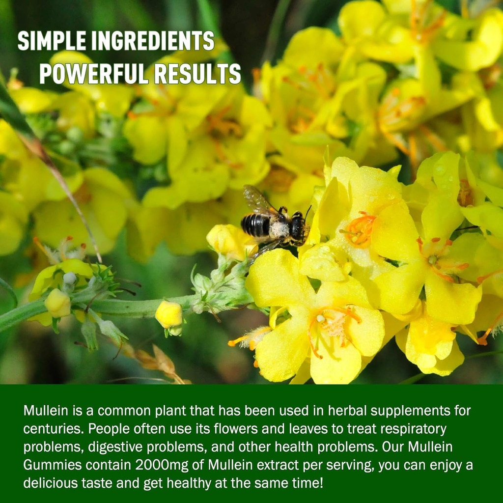 Mullein Gummies for Lung Detox, 2000mg Mullein Leaf Extract for Respiratory & Digestive & Immune Support, Organic Mullein Herb Supplement for Mucus Relief, Vegan, Pineapple, 60 6
