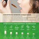 Berberine HCL Liquid Drops - 1500 mg Berberine Supplement with Ceylon Cinnamon, Chromium, Turmeric, Niacinamide - Supports Metabolism and Immune System, Gut Health - 2 FL Oz Vegan 5