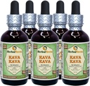 Kava Kava (Piper Methysticum) Glycerite, Dried Root Alcohol-Free Liquid Extract (Brand Name: HerbalTerra, Proudly Made in USA) 2x2 fl.oz (2x60 ml) 4