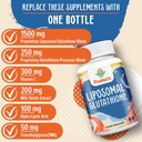 2400MG Liposomal Glutathione, with Vitamin C, Milk Thistle & Alpha-Lipoic Acid, Master Antioxidants, Pure Reduced L-Glutathione - Immune System, Cell Repair, Energy, High Absorption, 240 Softgels 6