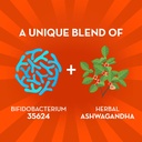 Align Probiotic, Digestive De-stress, Probiotic for Women and Men with Ashwagandha, Helps with a Healthy Response to Stress, Gluten Free, Soy Free, Vegetarian, 21 Capsules 3