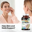 BIO KRAUTER Horsetail Herb Capsules - 800 mg Strength - 100 Count - Horsetail Powder Capsules - Hair Support 3