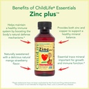 CHILDLIFE ESSENTIALS Liquid Zinc Plus for Kids & Toddler - Liquid Supplement Drops, Zinc Gluconate & Copper for Immune Support - Mango Strawberry, 4 Fl Oz (Pack of 3) 6