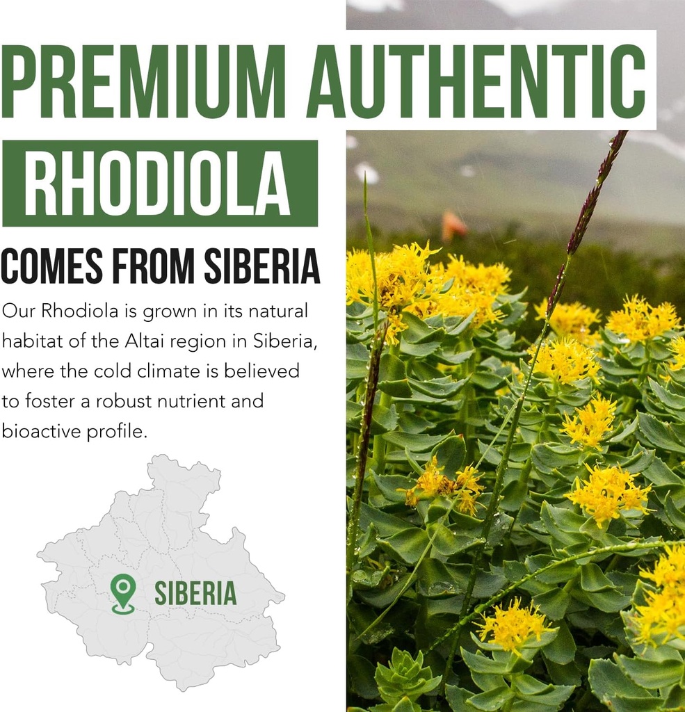 Max Strength Siberian Rhodiola®: Rhodiola Rosea 5% Rosavins, 2% Salidroside & BioPerine® for Enhanced Absorption – Helps Support Stress, Energy & Focus* – Grown in Siberia, DNA Verified (60 Capsules) 5