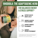 Max Strength Siberian Rhodiola®: Rhodiola Rosea 5% Rosavins, 2% Salidroside & BioPerine® for Enhanced Absorption – Helps Support Stress, Energy & Focus* – Grown in Siberia, DNA Verified (60 Capsules) 6
