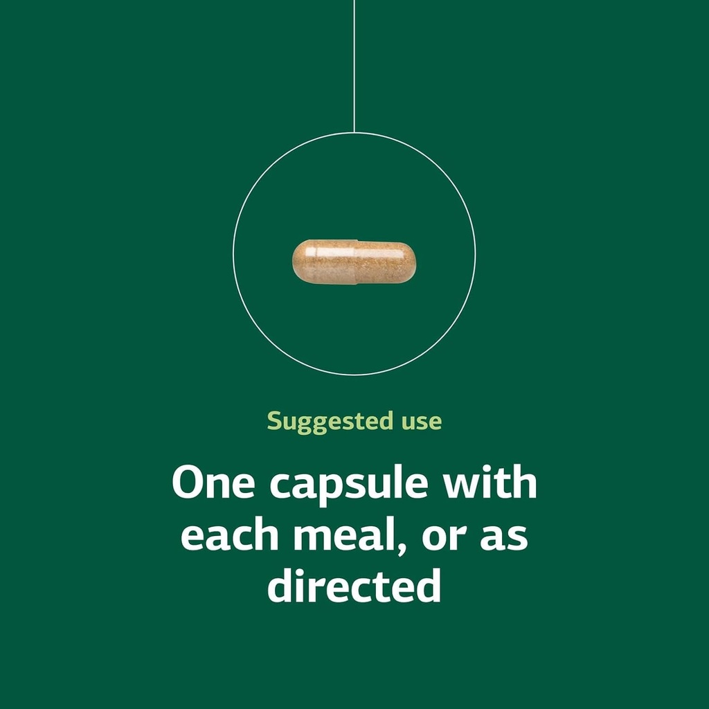 Standard Process Inc. Orchex - Whole Food Nervous System Supplements, Cholesterol, Mental Clarity and Emotional Support with Soy Protein, Ascorbic Acid, Calcium Lactate, Wheat Germ - 90 Capsules 6