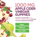 Vegan Apple Cider Vinegar Gummy 1000mg - Sugar Free ACV Gummies Vitamins Supplement with Vitamin B12 for Energy - Keto Friendly Digestion, Detox, Cleanse Support - Gelatin-Free, Non-GMO - 120 Gummies 4
