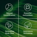 Nature's Sunshine Chlorophyll Stick Packs: Supercharge Your Detox and Boost Gut Health in Convenient, Delicious Stick Packs (Spearmint) 6