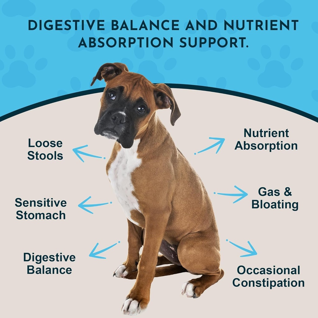 Animal Essentials Plant Enzyme & Probiotics - Digestive Enzymes for Dogs & Cats, Probiotics, Digestive Supplement, Veterinarian Recommended - 10.6 Oz 3