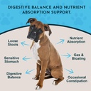 Animal Essentials Plant Enzyme & Probiotics - Digestive Enzymes for Dogs & Cats, Probiotics, Digestive Supplement, Veterinarian Recommended - 10.6 Oz 3