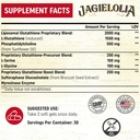 Liposomal Glutathione 2000 mg with L-Serine, L-Glycine & Sulforaphane – Active L-Glutathione Unique Formulation to Enhance Absorption - Master Antioxidant, Detoxifying & Immune | 180 Softgels 3