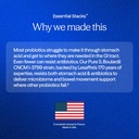 Essential Stacks Saccharomyces Boulardii Probiotics (Non-GMO & Gluten Free) - 5 Billion CFUs for Gut Health (60 Capsules) 5