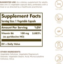 Solgar Vitamin B6 100 mg - 100 Vegetable Capsules - Non-GMO, Vegan, Gluten Free, Dairy Free, Kosher, Halal - 100 Servings 3