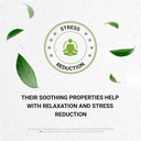 Secrets of the Tribe Muira Puama and Catuaba Alcohol-Free Liquid Extract (Ptychopetalum Olacoides and Erythroxylum Catuaba) Dried Bark Tincture Supplement (4 FL OZ) 6