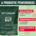 Betterbrand Better Gut Gummy - Probiotics Supplement for Gut Health, Digestive Support, Immunity and Bone Health with 2.5 Billion CFUs - Watermelon Flavor (30 Day Supply) 5