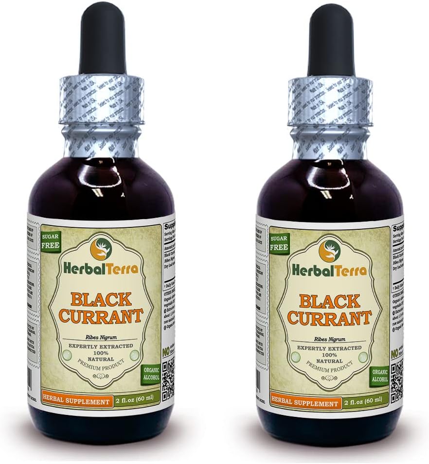 Black Currant (Ribes nigrum) Tincture, Dried Leaves Liquid Extract (Brand Name: HerbalTerra, Proudly Made in USA) 2x2 fl.oz (2x60 ml) 2