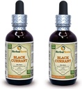 Black Currant (Ribes nigrum) Tincture, Dried Leaves Liquid Extract (Brand Name: HerbalTerra, Proudly Made in USA) 2x2 fl.oz (2x60 ml) 2