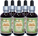 Black Currant (Ribes nigrum) Tincture, Dried Leaves Liquid Extract (Brand Name: HerbalTerra, Proudly Made in USA) 2x2 fl.oz (2x60 ml) 6