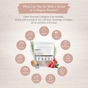 Organixx Collagen Peptides Powder with Vitamin C, Types I, II, III, V, X Hydrolyzed Collagen, Hair, Nail, Skin, Bone & Joint Health, Aging Support, Clean Sourced, Gluten Free, Unflavored, 15 Servings 5